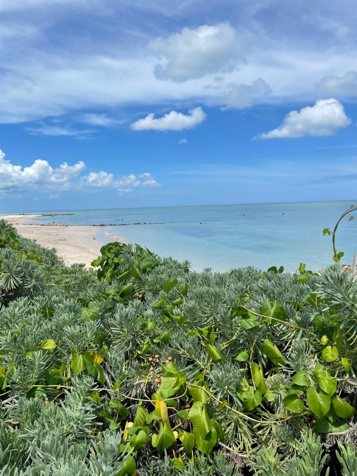 צ'לם El Paraiso De Capitan Fernando מראה חיצוני תמונה